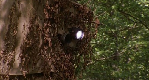 cámaras de vigilancia oculta