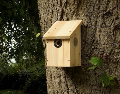 cámaras de vigilancia oculta