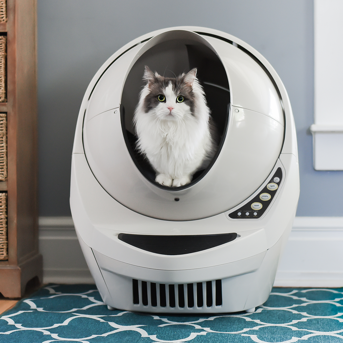 Litter-Robot III el arenero inteligente que evitará que cambies la arena de tu gato