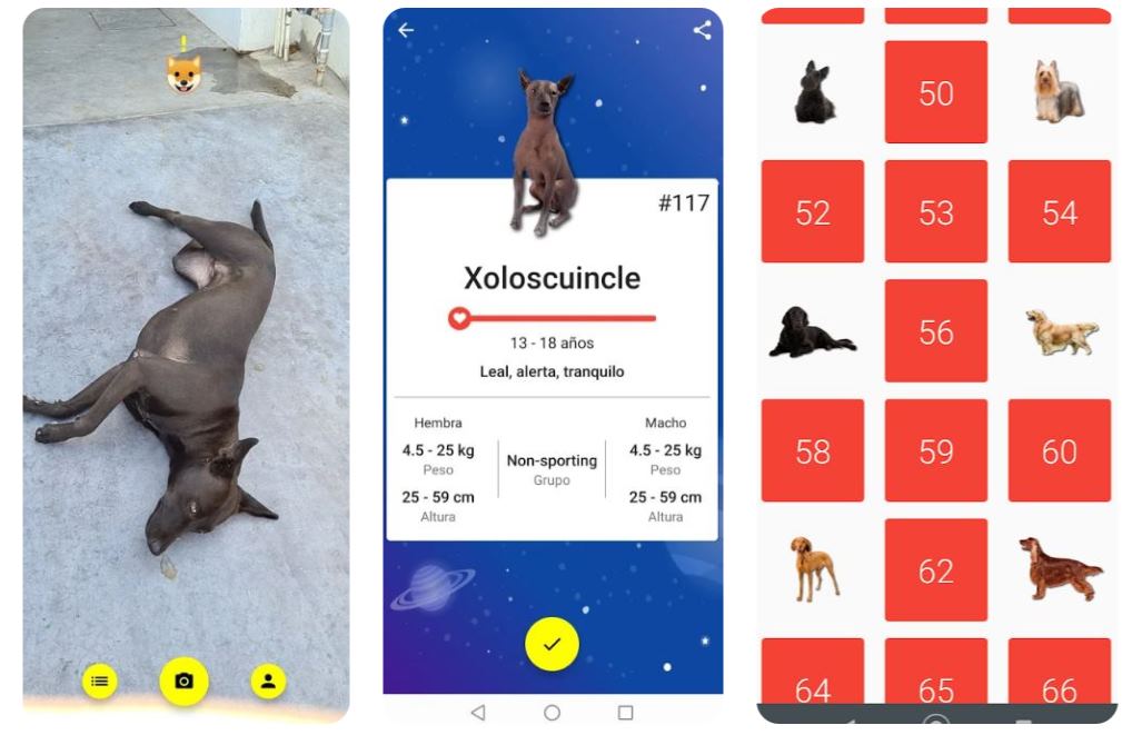 Todogs, una app que busca razas de perros y las colecciona, el estilo de Pokemon Go